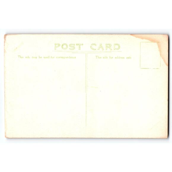 Vintage Barn Swallow Bird Lithograph Postcard with Musical Notes - Picture 2 of 2